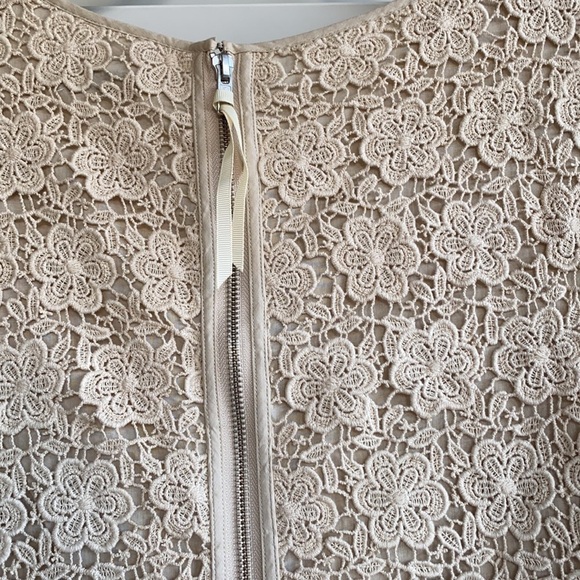 Eliza J Lace Overlay Dress - Picture 4 of 5